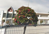 保育園 川口市役所 芝保育所