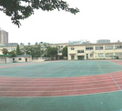 豊島区立 西巣鴨小学校