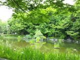 後谷公園