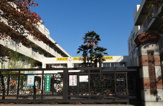 小学校 さいたま市立沼影小学校
