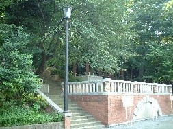 大塚公園の画像1