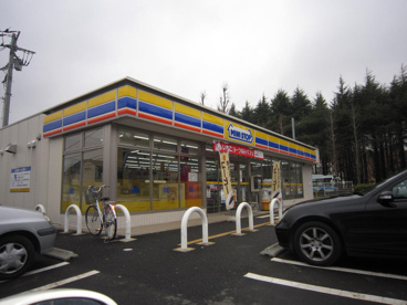 ミニストップ高野台店の画像1