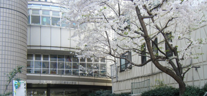 文京区立昭和小学校の画像1