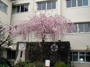 川口市立原町小学校の画像1
