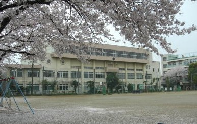 川口市立前川東小学校の画像1