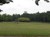  都立城北中央公園