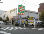  ライフ・板橋店