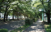  十条公園