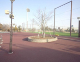 赤羽スポーツの森公園