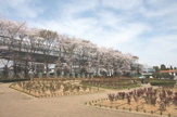 与野公園
