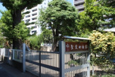聖愛幼稚園
