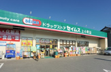 ドラッグストア ドラッグセイムス上小町店