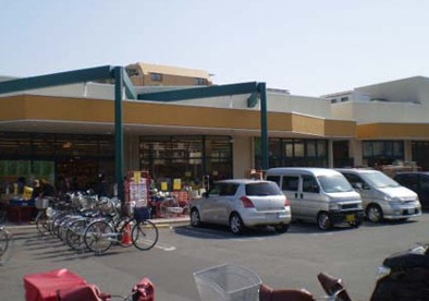 タジマ・田島まいすと店の画像1