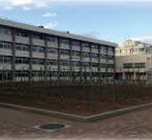 埼玉県立特別支援学校さいたま桜高等学園の画像1