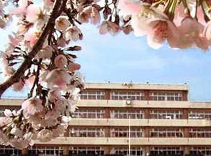 さいたま市立 上小小学校の画像1