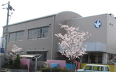 保育園 白鳩保育園