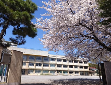 板橋区立 板橋第八小学校の画像1
