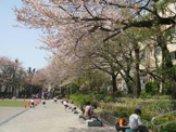 豊島区立 高松小学校