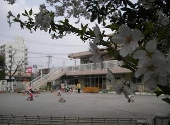 板橋区役所 板橋区立高島平くるみ保育園の画像1