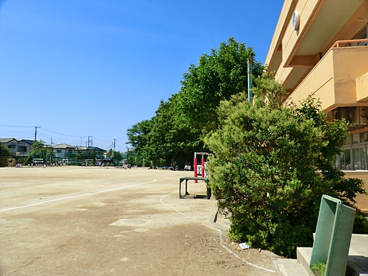 新開小学校の画像2