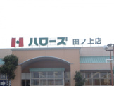ハローズ田ノ上店