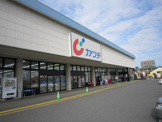カワチ薬品ひたち野うしく店