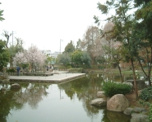 近松公園 