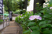 白山公園