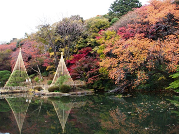 江戸川公園の画像1