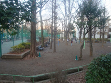竹早公園