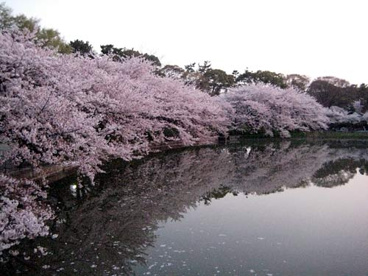 名城公園の画像2