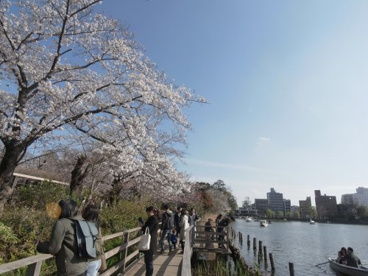 洗足池公園の画像3