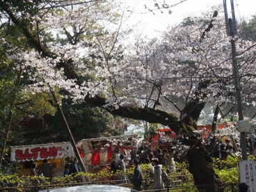 洗足池公園の画像5