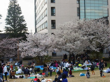 東京科学大学の画像4