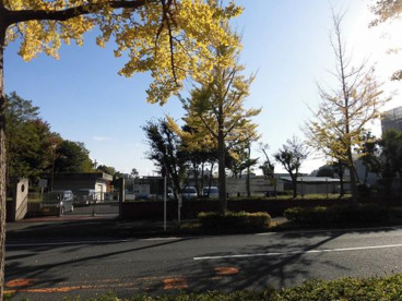 横浜市立 並木第一小学校の画像1