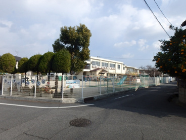 老松保育園の画像3