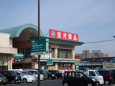 金光薬品 中庄店の画像1