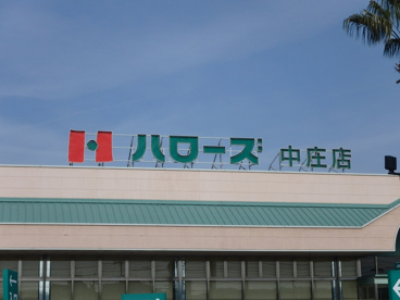 ハローズ 中庄店の画像3