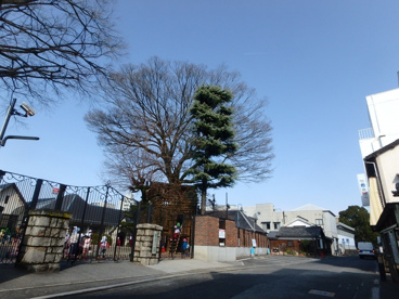 若竹の園保育園の画像1