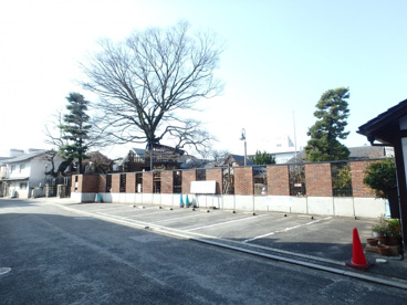 若竹の園保育園の画像3