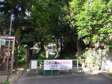 よどばし児童遊園　