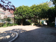 みずき公園
