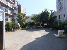  仲町公園