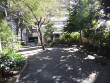 公園 若の芽公園