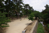 公園 夙川公園