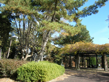 桃山台スポーツグラウンドの画像2