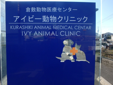 アイビー動物クリニックの画像2