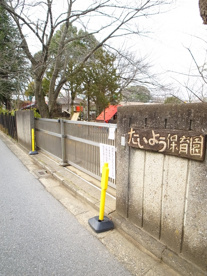 たいよう保育園の画像1