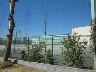 立川市立第三中学校の画像1