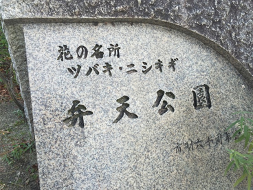 弁天公園の画像2